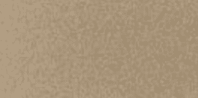 Champagne Metallic