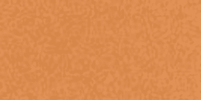 Copper Penny