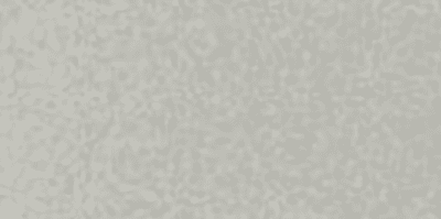 Silver Metallic
