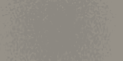 Weathered Zinc